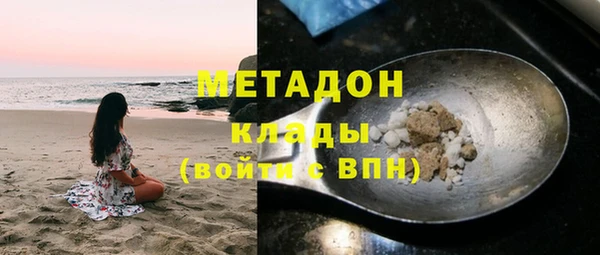 индика Арсеньев