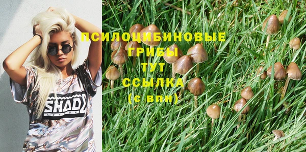 MDMA Новодвинск