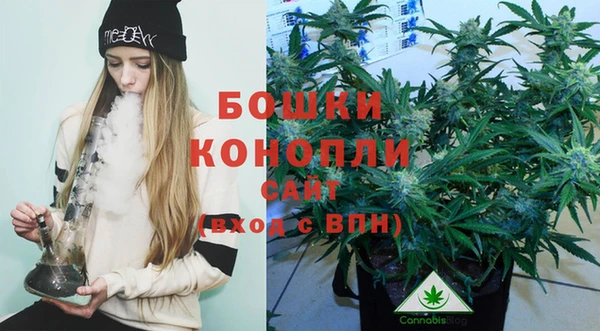 индика Арсеньев