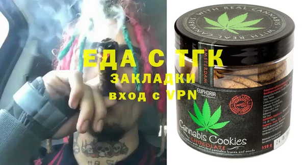 индика Арсеньев