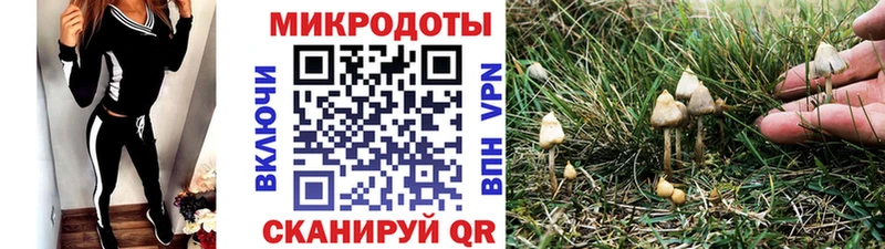 Псилоцибиновые грибы мицелий  закладка  Осташков 